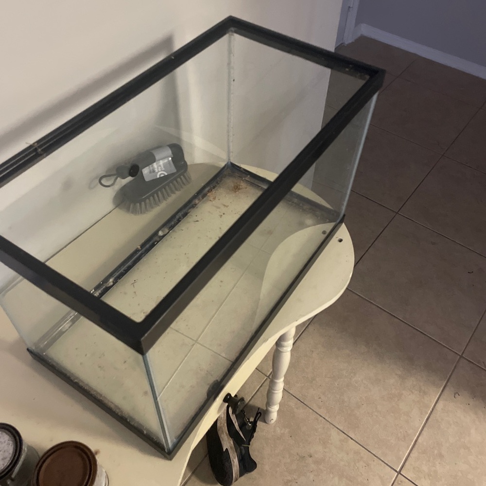 Fish Tank $50